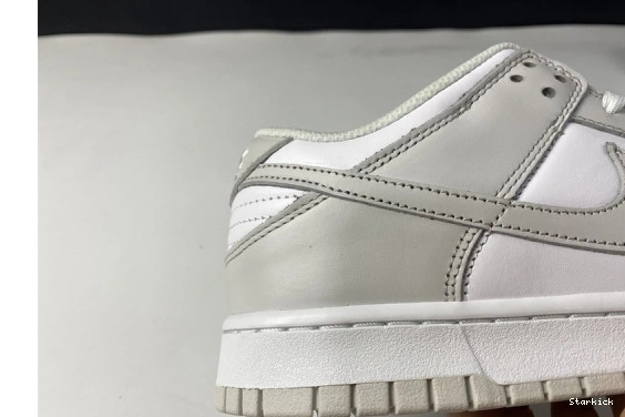 DD1503-103 "Photon Low Nike Dust" Dunk 0115